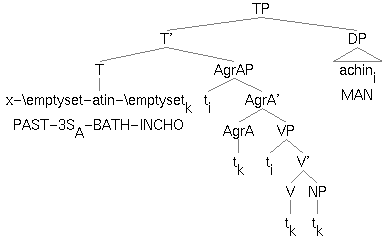 tree1.gif